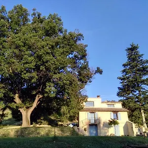 Maison D'hôtes Du Grand Chêne Valensole